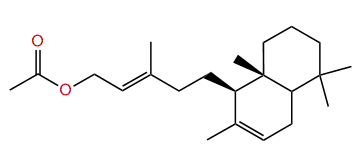 (E)-Labd-7,13-dien-15-yl acetate